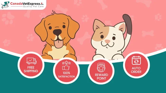 Canada Vet Express US Free Shipping: Delivery Times and Costs